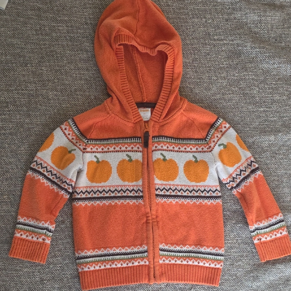 Gymboree Orange Pumpkin Kids Hoodie